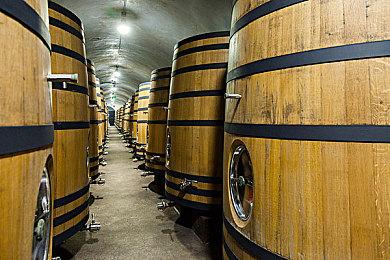 《刺客信条：影》全新截图 静谧美丽如诗如梦